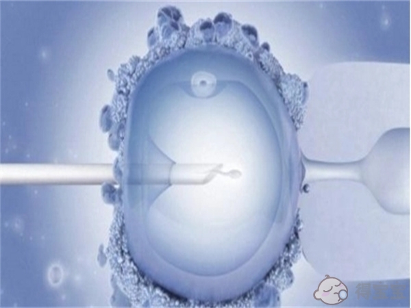 金华47岁供卵试管助孕-2023年成都试管婴儿雄安和华西哪个好？ 与试管婴儿成功率对比。